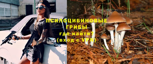 первитин Арсеньев